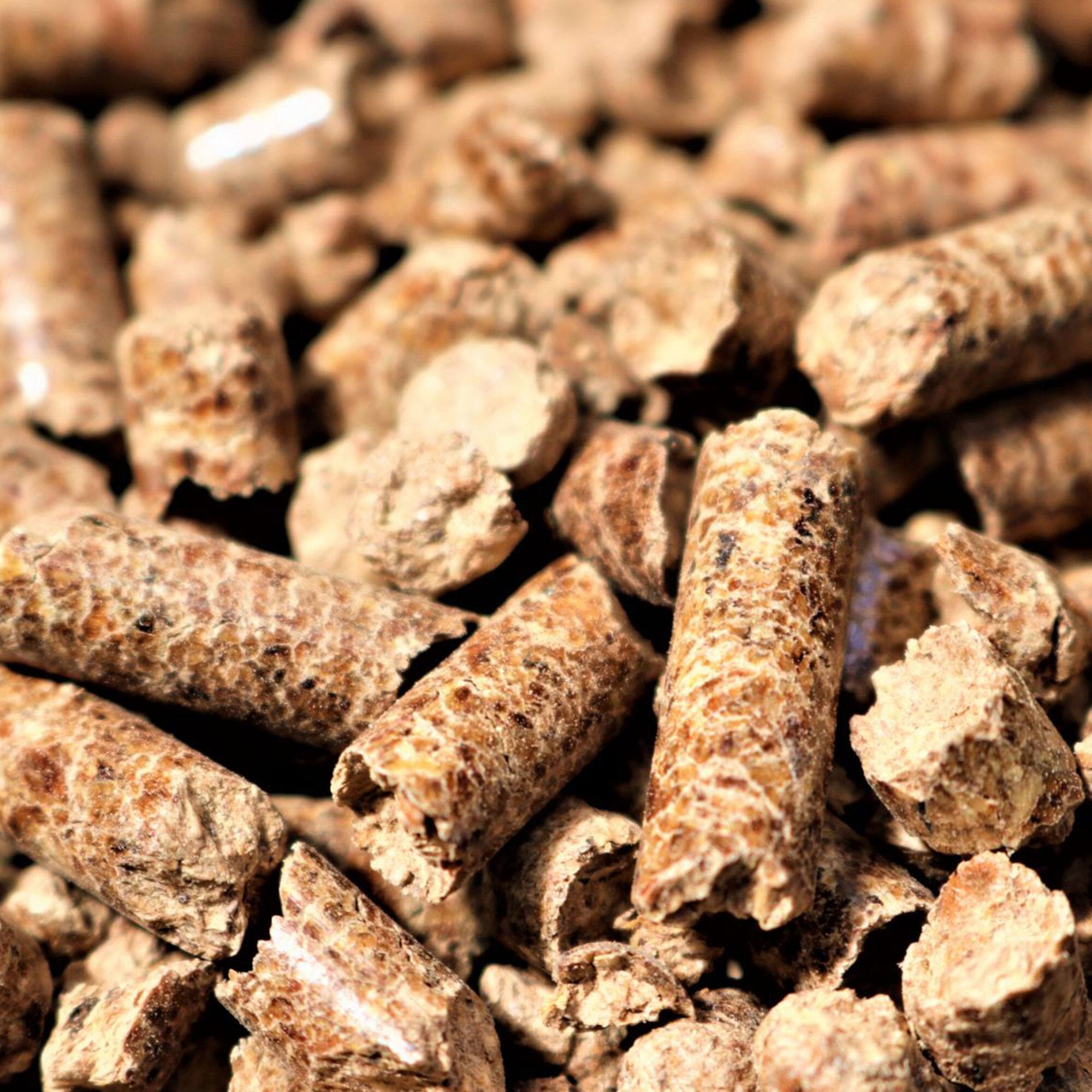 Alt View 5. Bear Mountain BBQ - Bear Mountain BBQ All-Natural Hardwood Gourmet Blend Smoker Pellets, 20 Pounds.