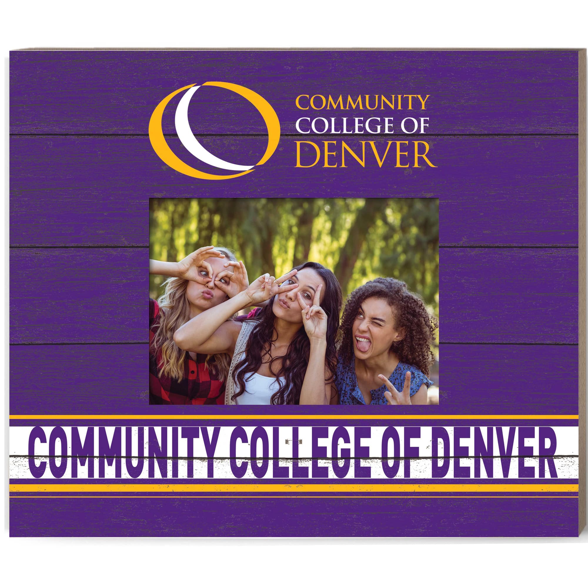 Jardine - CCD CityHawks 11'' x 13'' Team Spirit Scholastic Picture Frame - Purple price history on PriceWatchPro