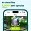 AI Identifies 6,000+ Bird Species *7 Day Trial 10:05 Birdfy Blue Jay