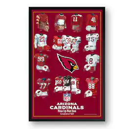 Sporticulture - Arizona Cardinals 14" x 20" Uniform Heritage Framed Art Print - Multicolor