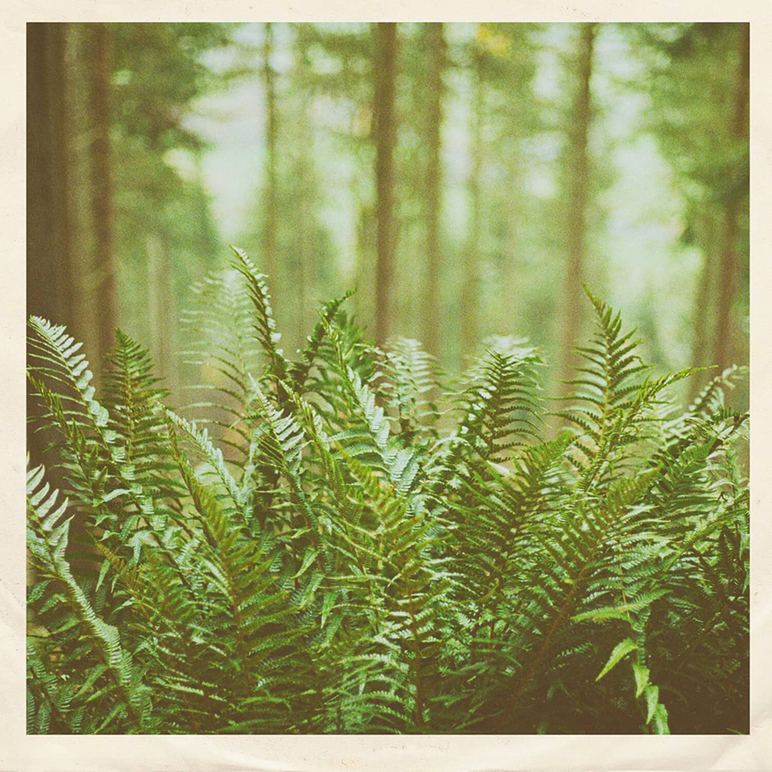 mtbrd - Just Visiting  - 7-INCH SINGLE