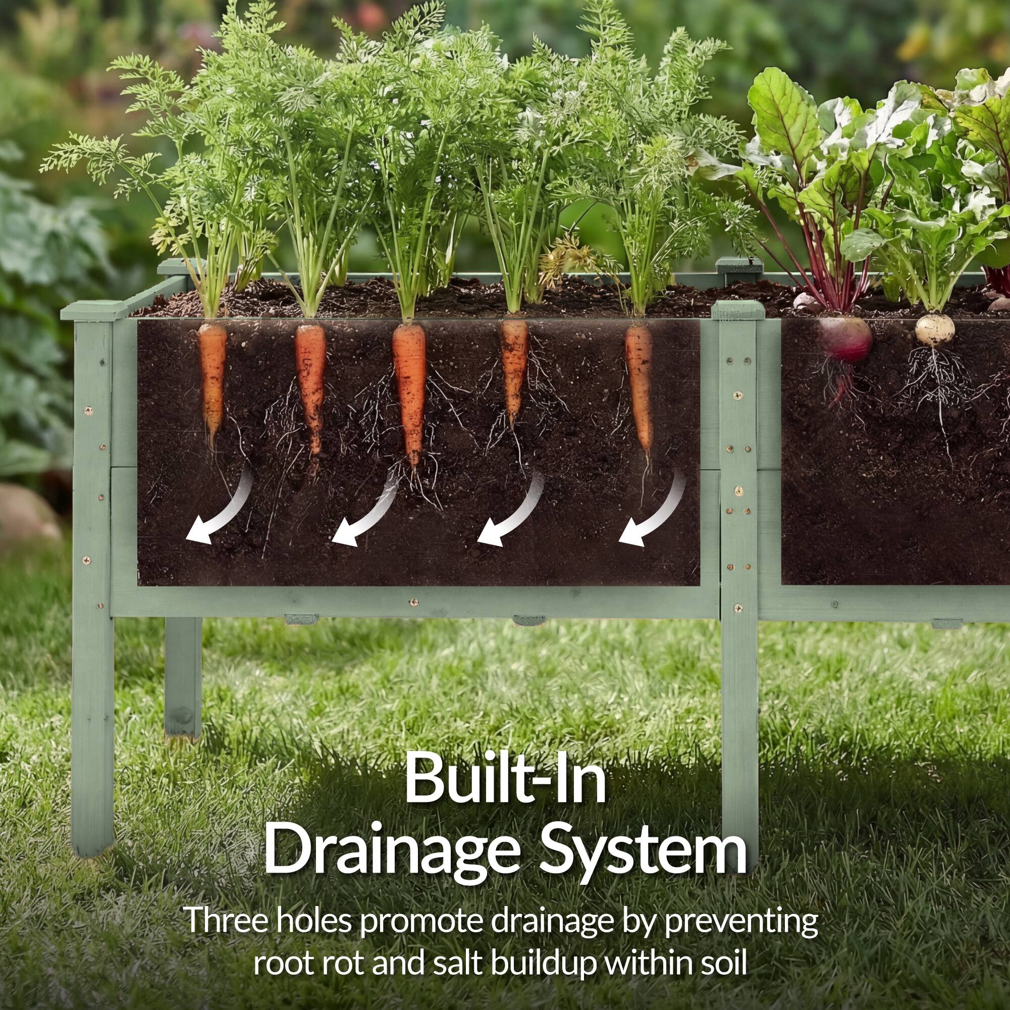 Built-In Drainage System

Three holes promote drainage by preventing root rot and salt buildup within soil