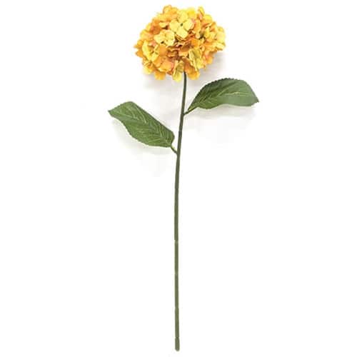 BreeBe - Golden Hydrangea Stem - 28" - Multi