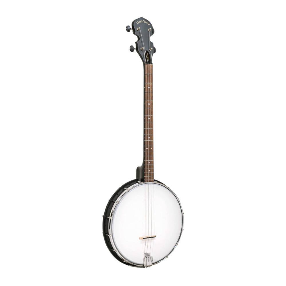 Gold Tone - AC-4IT Acoustic Composite 4-String Irish Tenor Banjo with Gig Bag price history on PriceWatchPro
