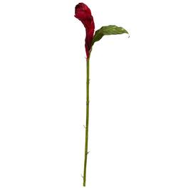 BreeBe - 36" Ginger Artificial Flower (Set of 3) - Red