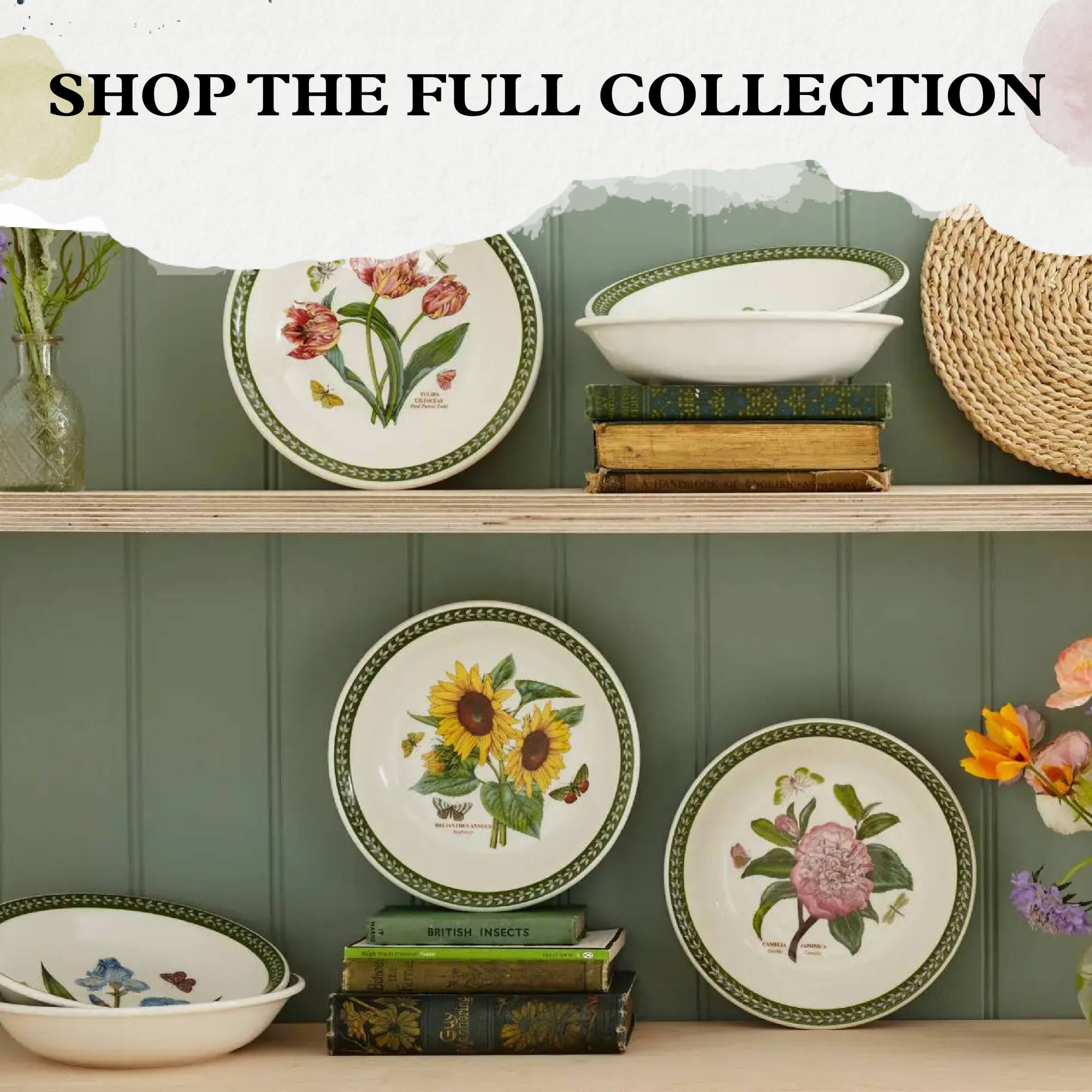 SHOP THE FULL COLLECTION

BRITISH INSECTS