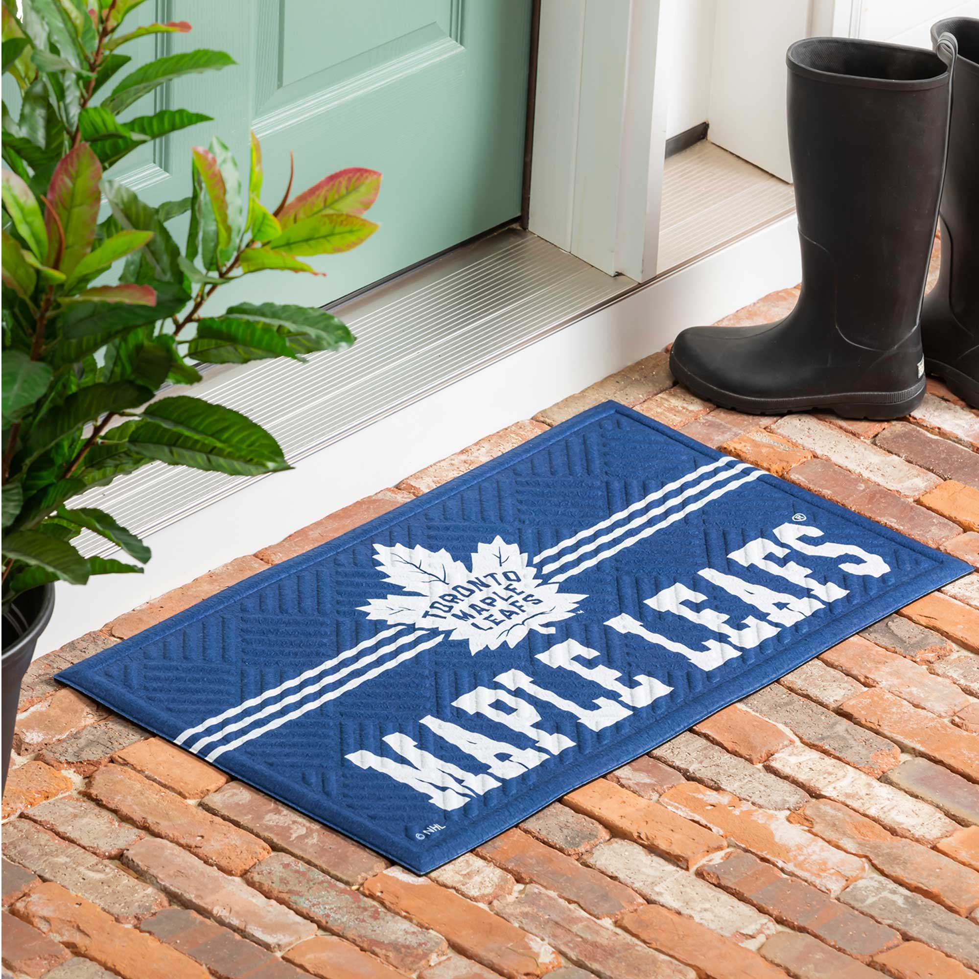 TORONTO MAPLE LEAFS
