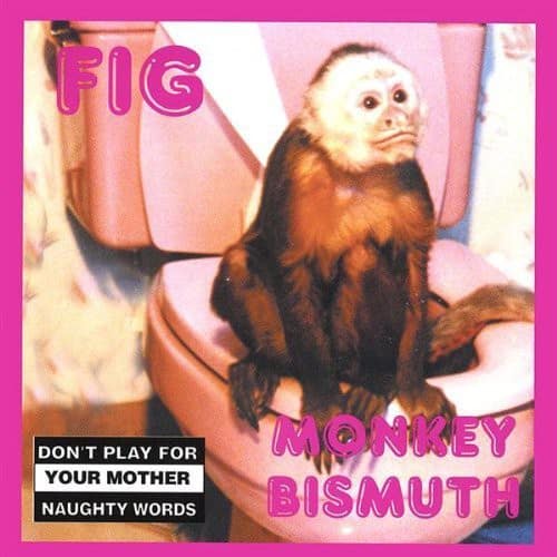 Fig - Monkey Bismuth  - COMPACT DISCS
