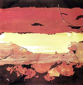 Wolf People - Steeple - VINYL LP