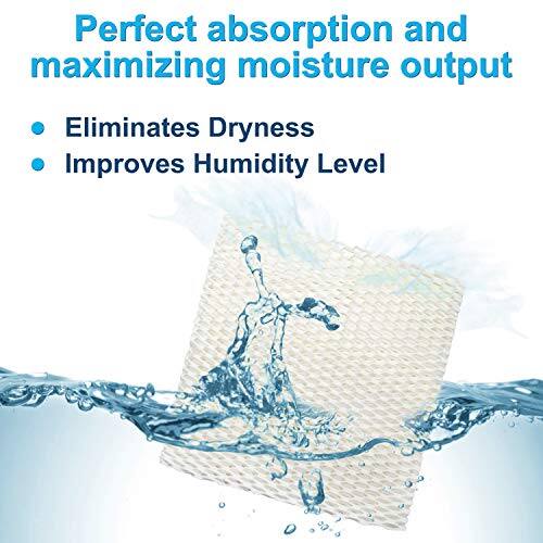 Perfect absorption and maximizing moisture output  
- Eliminates Dryness  
- Improves Humidity Level