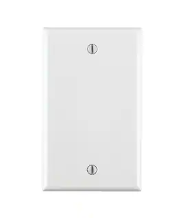 Leviton - 002-80714-00W 1-Gang Thermoplastic Nylon Blank Wallplate, Pack of 10 - White