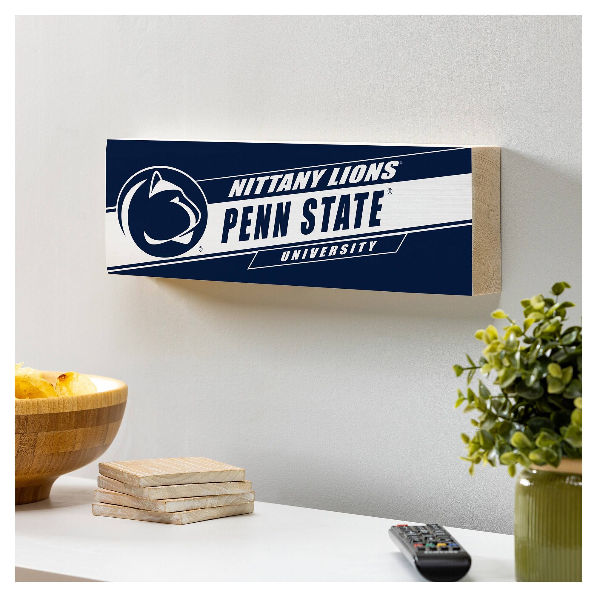 NITTANY LIONS  
PENN STATE  
UNIVERSITY