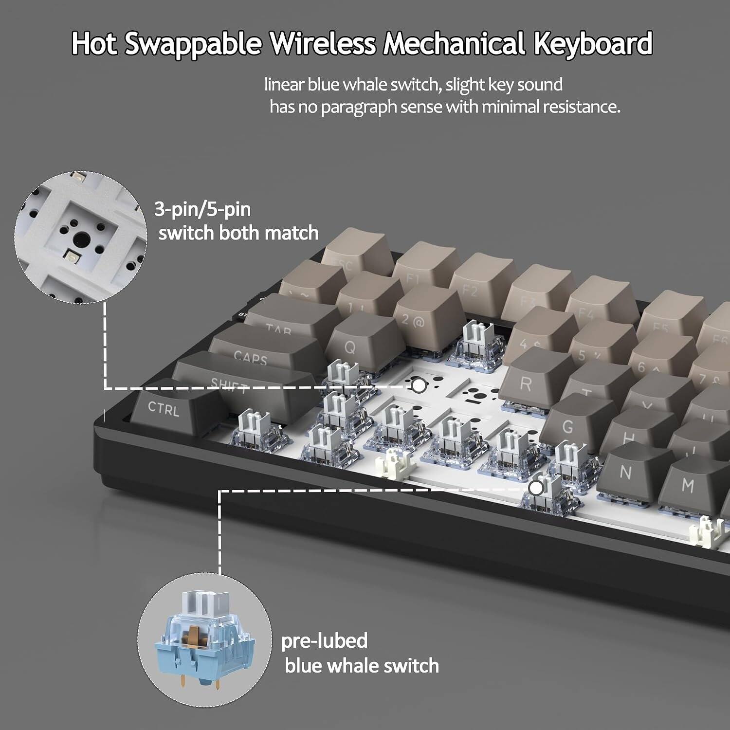Hot Swappable Wireless Mechanical Keyboard

linear blue whale switch, slight key sound has no paragraph sense with minimal resistance.

3-pin/5-pin switch both match

pre-lubed blue whale switch