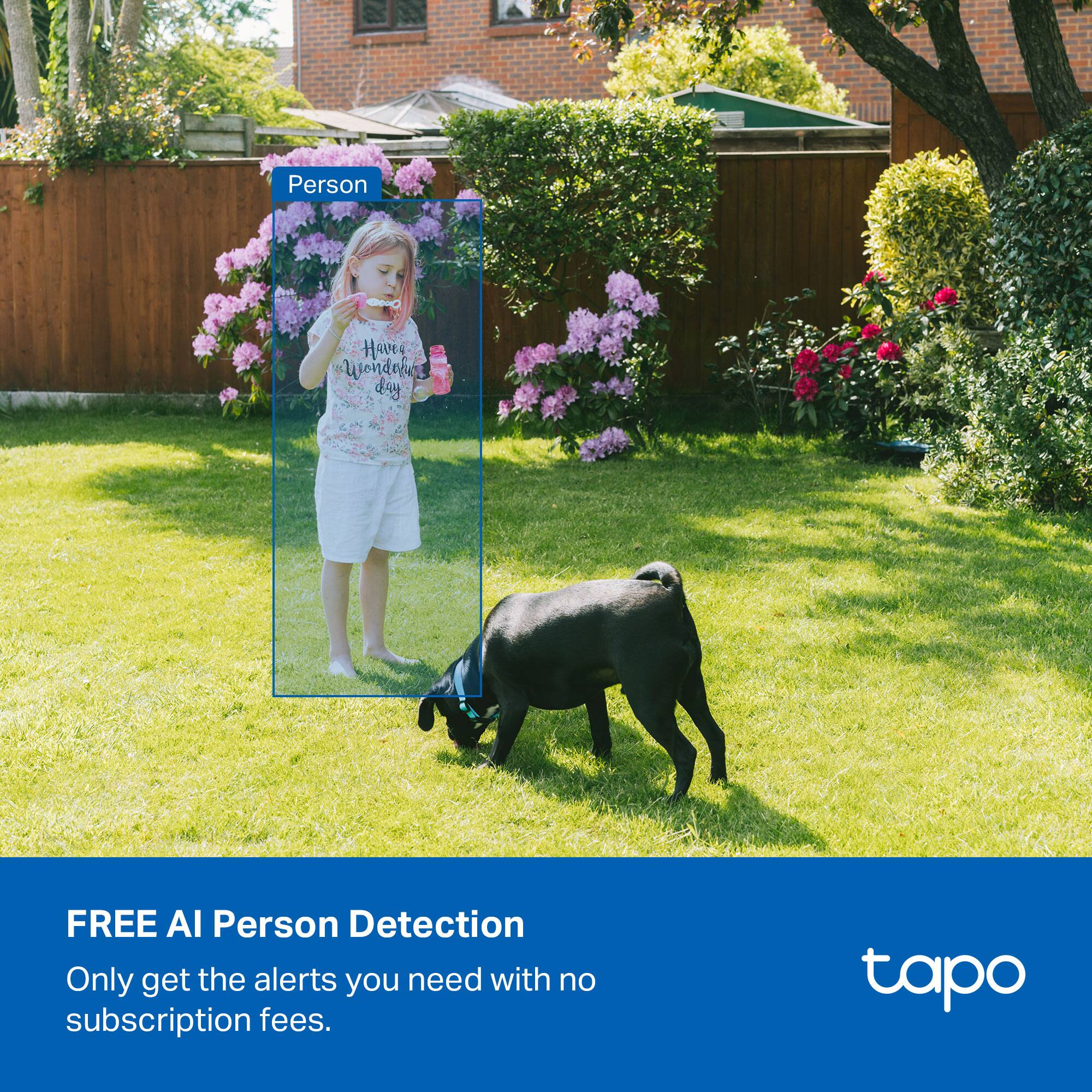 Person  
Have a wonderful day  

FREE AI Person Detection  
Only get the alerts you need with no subscription fees.  

tapo