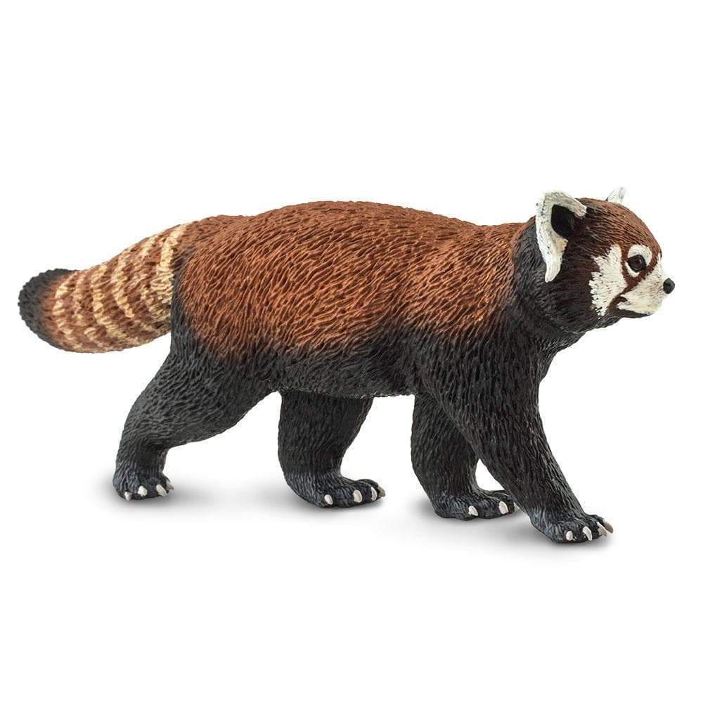 Back. Safari Ltd. - Red Panda Toy Figurine.
