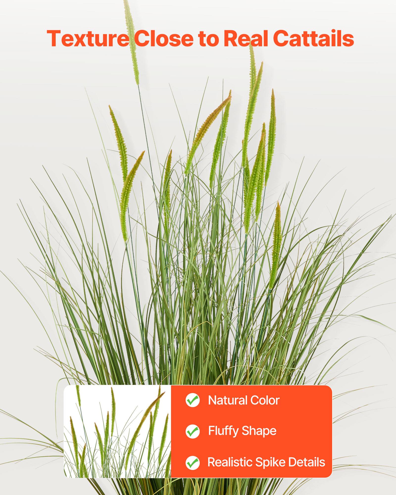 Texture Close to Real Cattails

- Natural Color
- Fluffy Shape
- Realistic Spike Details