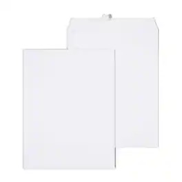 Staples - Gummed Catalog Envelopes, 10"L x 13"H, 100/Box - White