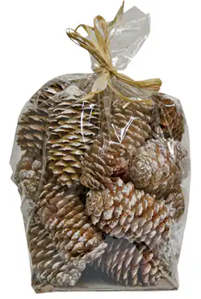 Front. BreeBe - Snowy Pinecone Fillers 6 oz. - Brown.