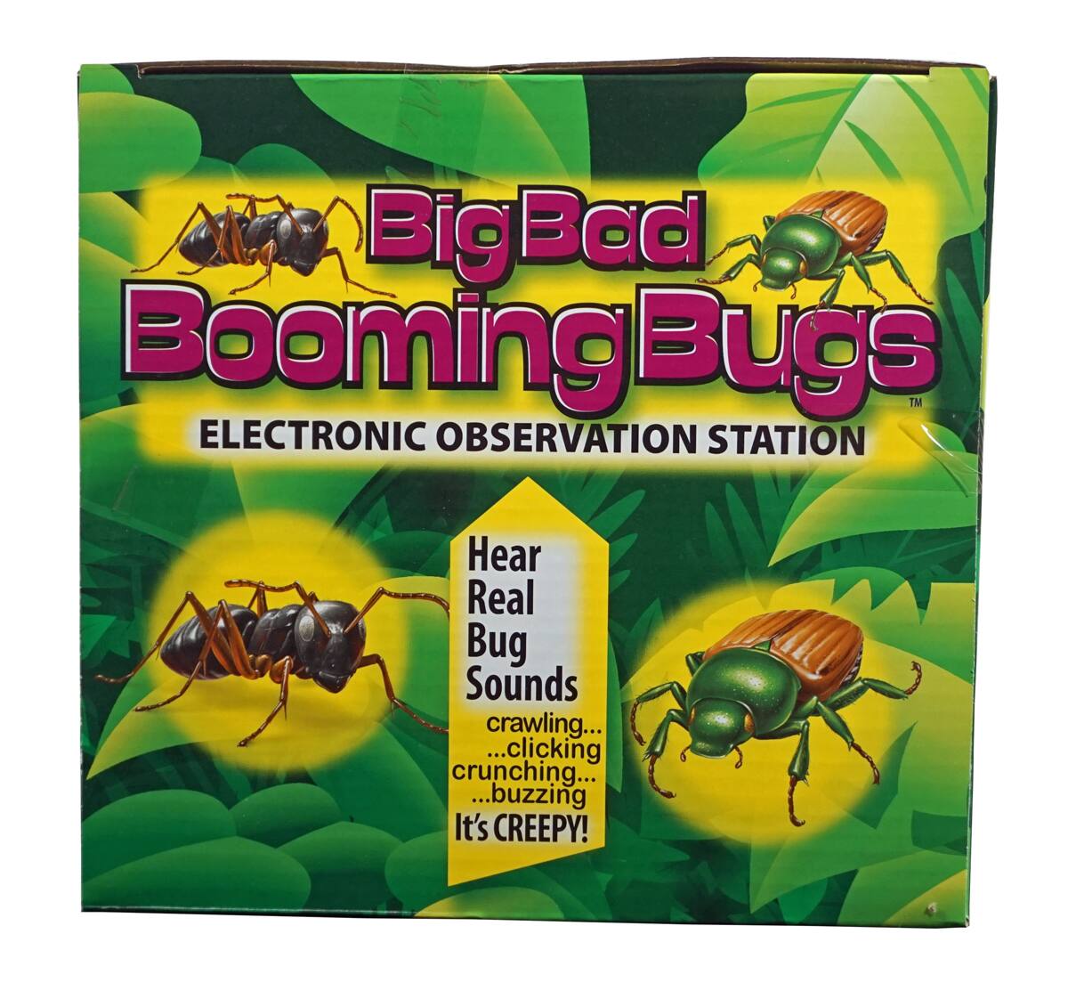 Big Bad Booming Bugs™ Electronic Observation Station

Hear Real Bug Sounds... crawling... clicking... crunching... buzzing It's CREEPY!