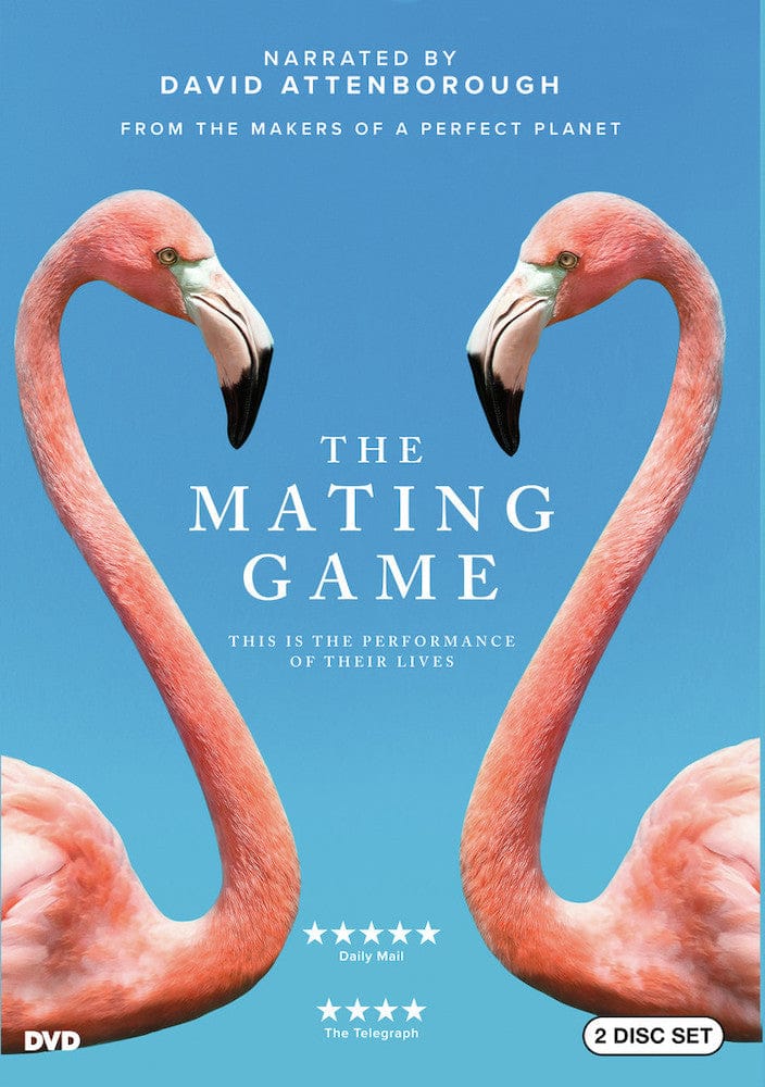 The Mating Game YR 1 - DVD