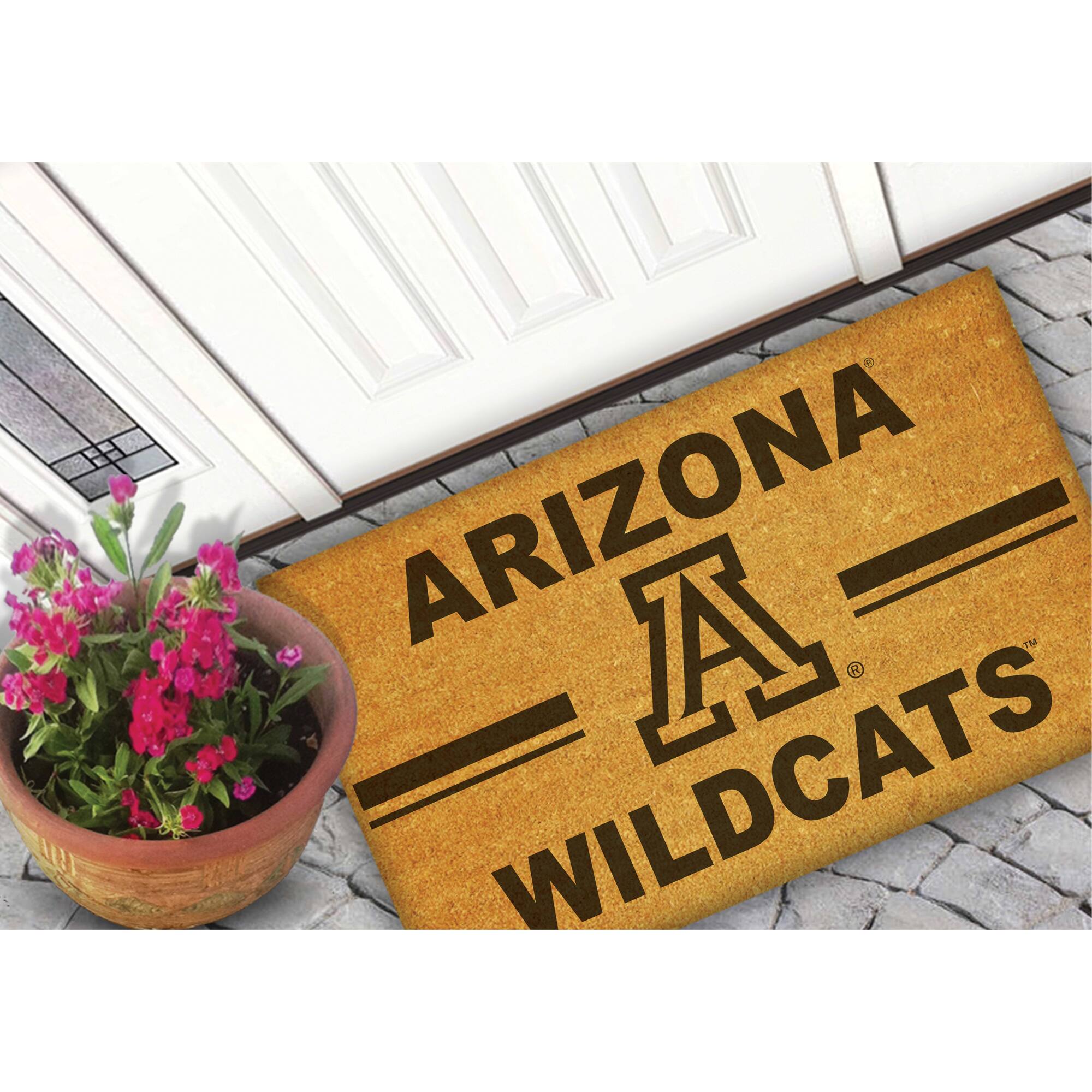 ARIZONA  
A  
WILDCATS