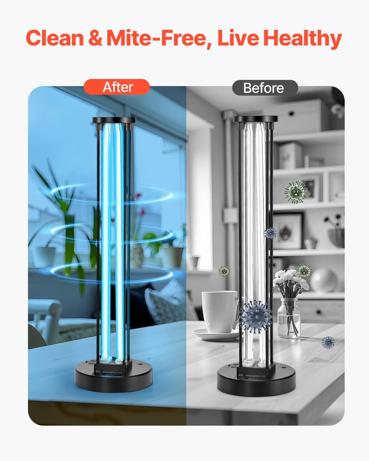 Clean & Mite-Free, Live Healthy

After | Before