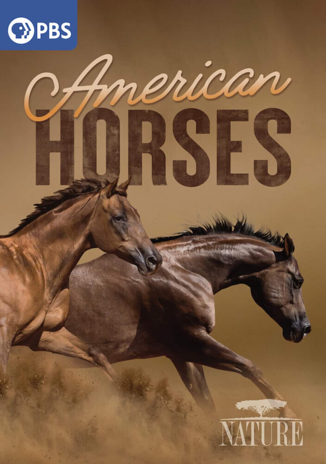 NATURE: American Horses - DVD