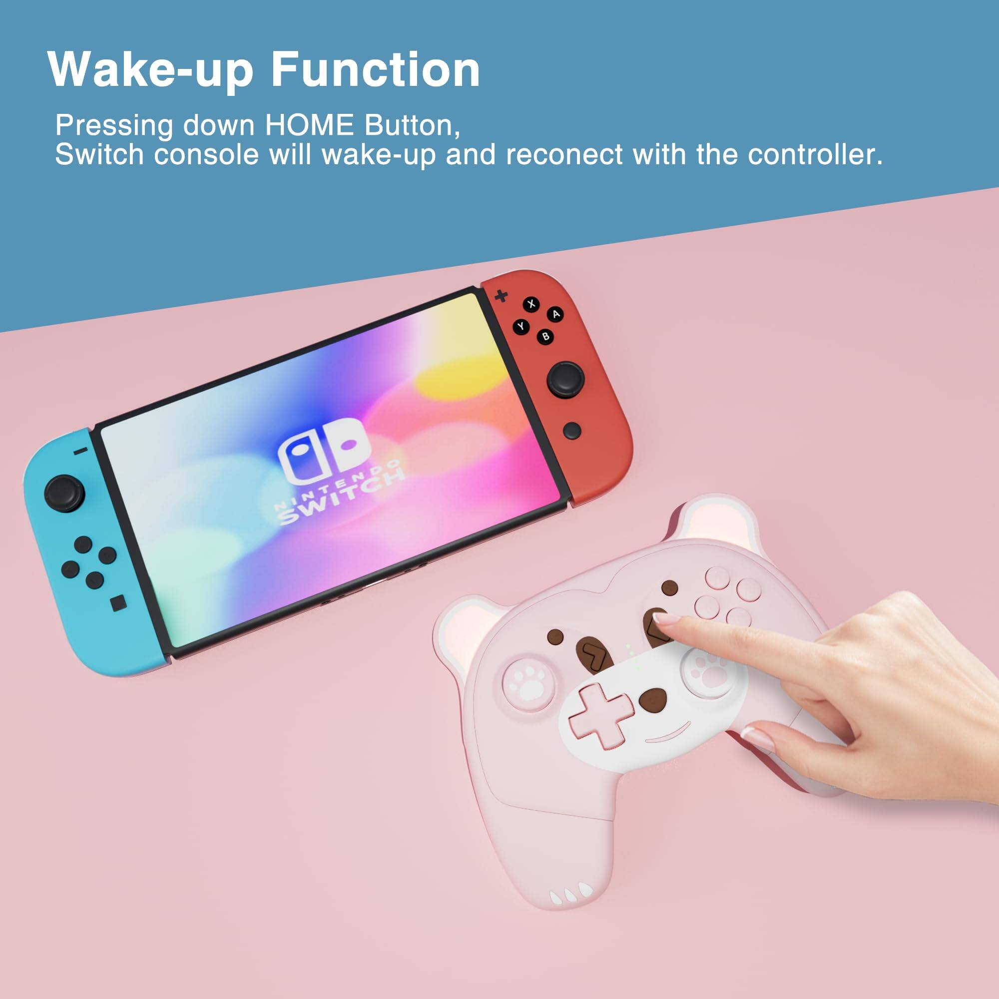 Wake-up Function  
Pressing down HOME Button, Switch console will wake-up and reconnect with the controller.