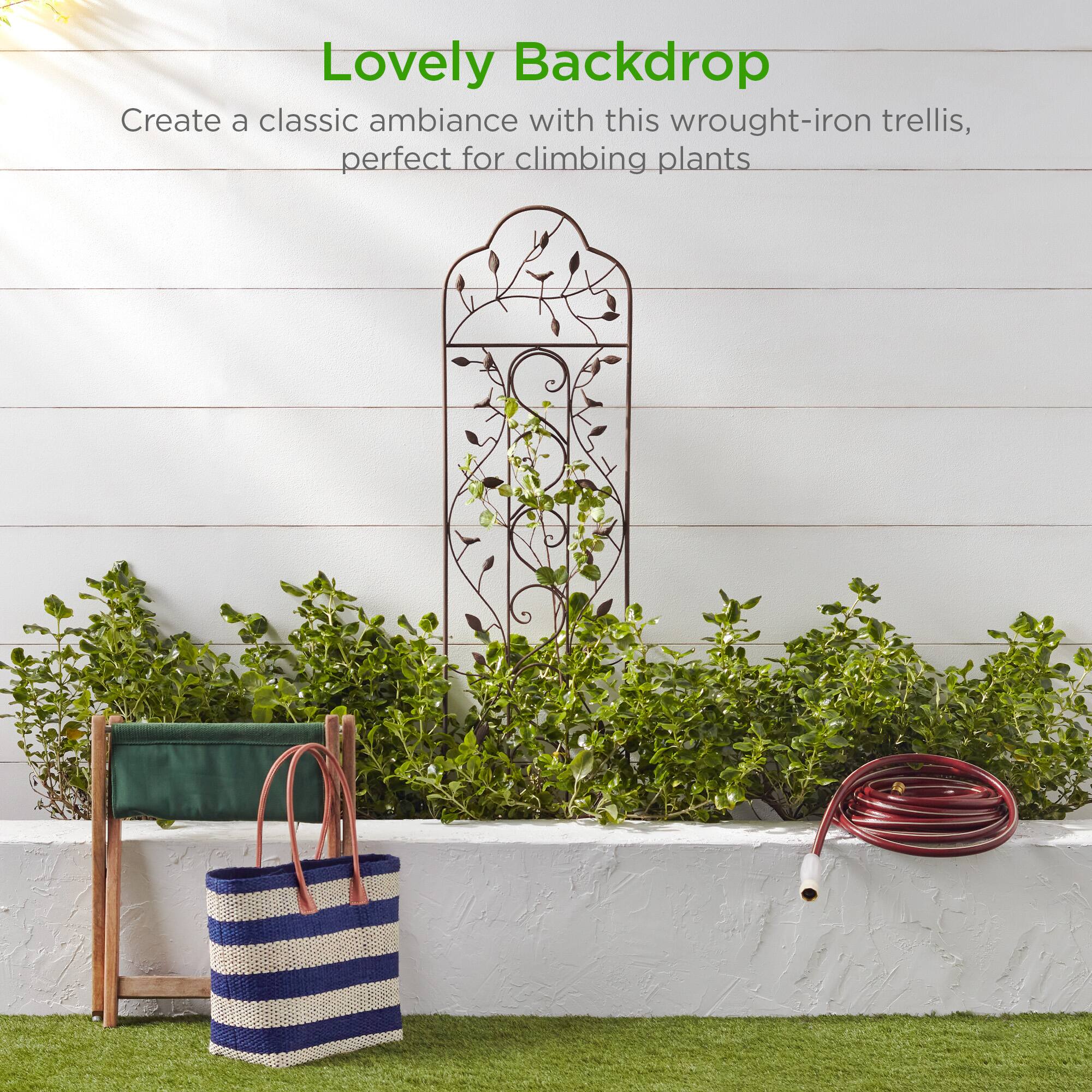 Lovely Backdrop

Create a classic ambiance with this wrought-iron trellis, perfect for climbing plants