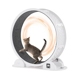 VEVOR - Cat Exercise Wheel with Pedometer, 40.8 in, Cat Running Wheel with Brake & Carpeted Runway, Quiet Cat Treadmill - White