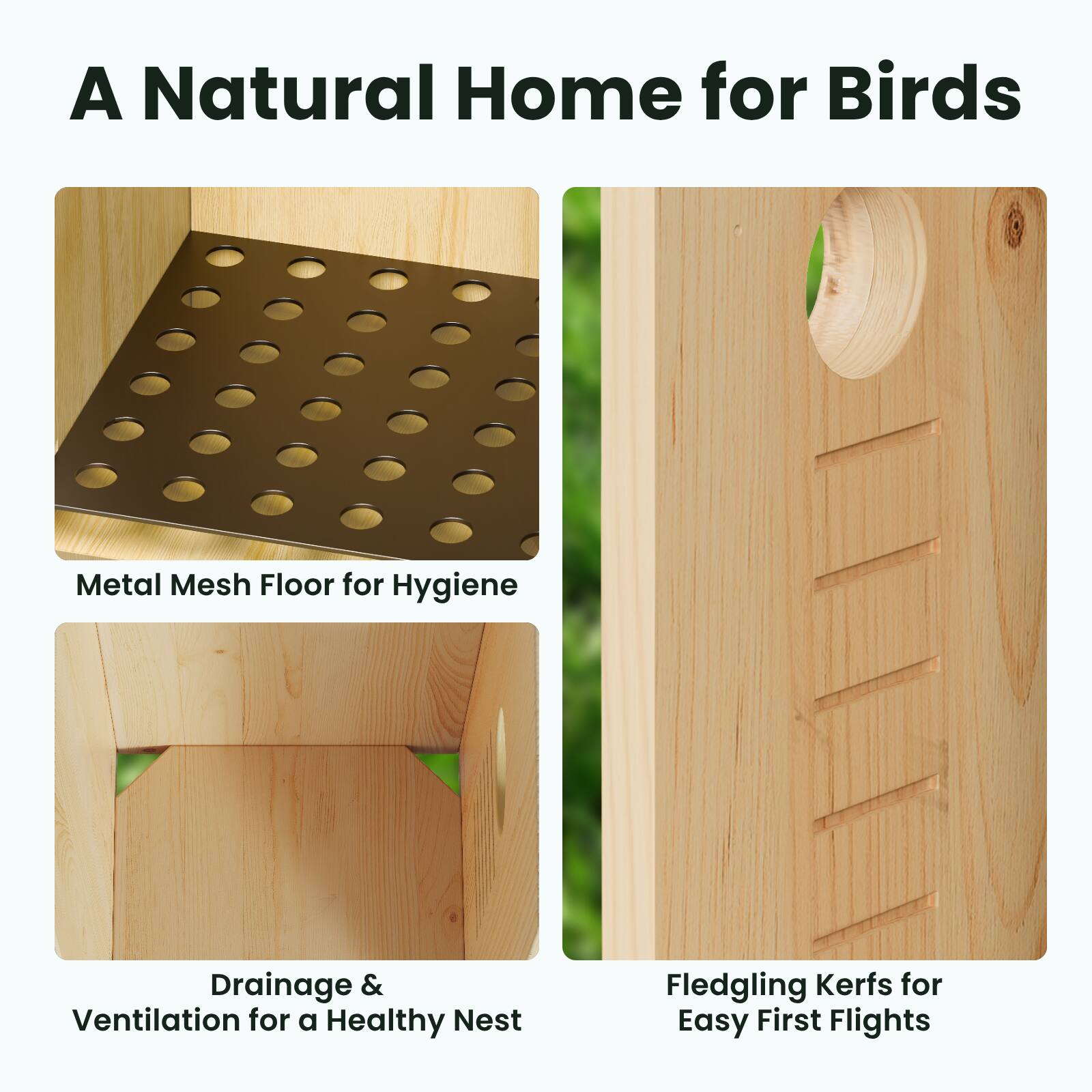 A Natural Home for Birds

Metal Mesh Floor for Hygiene

Drainage & Ventilation for a Healthy Nest

Fledgling Kerfs for Easy First Flights
