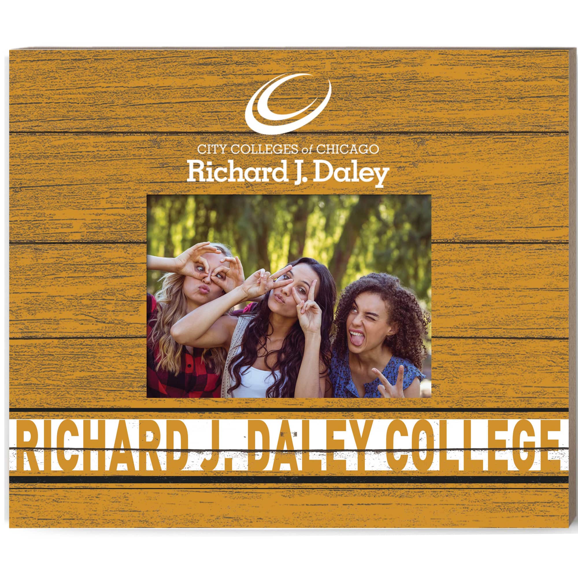 Jardine - Richard J Daley College Bulldogs 11'' x 13'' Team Spirit Scholastic Picture Frame - Yellow price history on PriceWatchPro