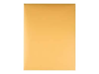 "Quality Park - Redi-Strip Kraft Catalog Envelopes, 10"" x 13"", 100/Box - Brown Kraft" price history on PriceWatchPro