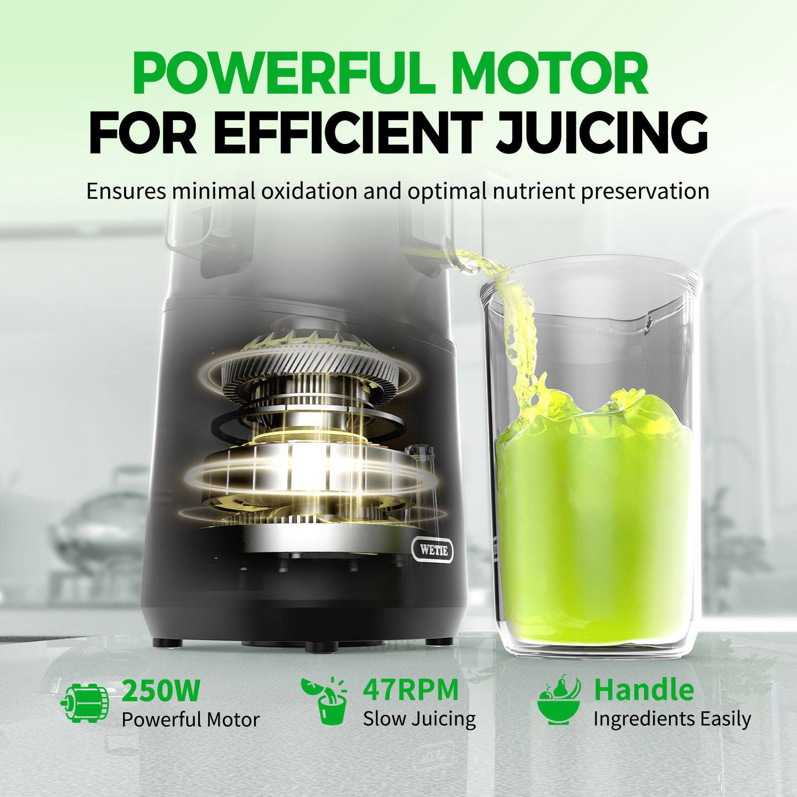 POWERFUL MOTOR FOR EFFICIENT JUICING  
Ensures minimal oxidation and optimal nutrient preservation  

250W Powerful Motor  
47RPM Slow Juicing  
Handle Ingredients Easily