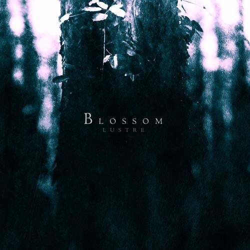 Lustre - Blossom   - COMPACT DISCS [CD] price history on PriceWatchPro