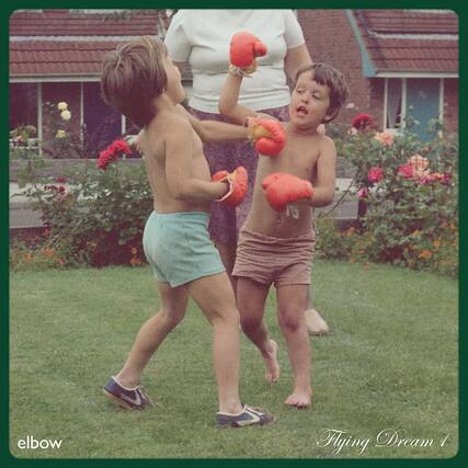 elbow
Flying Dream 1