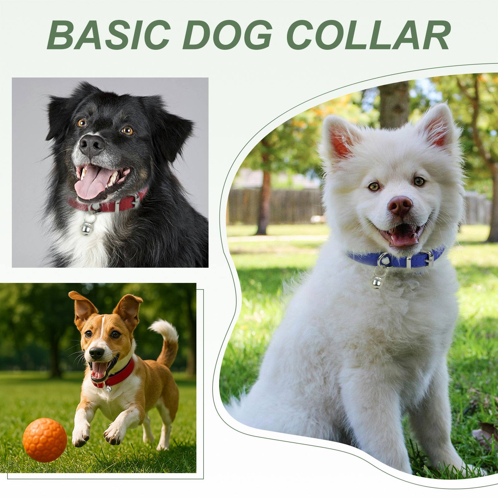 BASIC DOG COLLAR