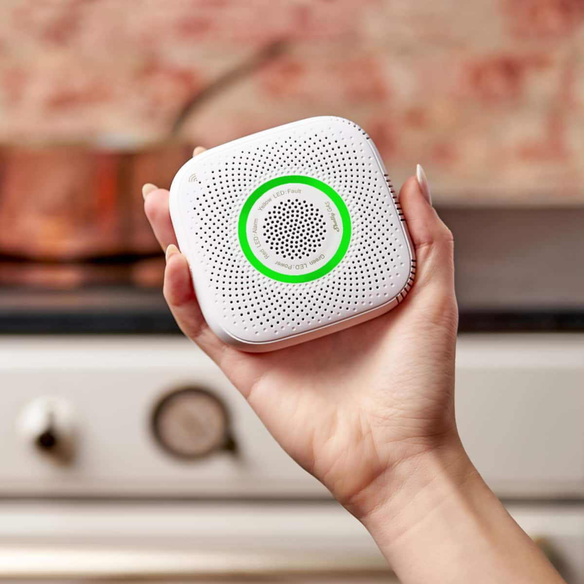 Shelly Gas CNG, Wi Fi Operated Certified Smart Gas Sensor