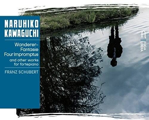 Liszt / Kawaguchi - Wanderer Fantasie   - COMPACT DISCS [CD] price history on PriceWatchPro