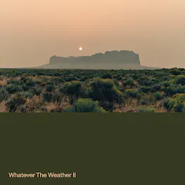 Whatever the Weather - Whatever the Weather II - Green - VINYL LP