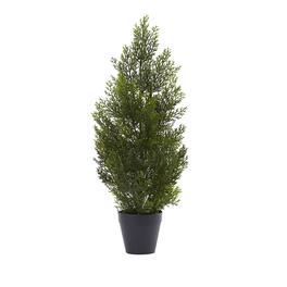 BreeBe - 2' Mini Cedar Pine Tree (Indoor/Outdoor) - Green