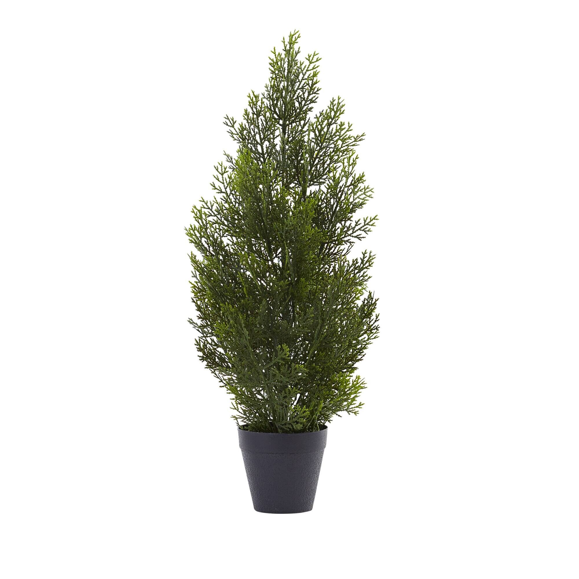 Front. BreeBe - 2' Mini Cedar Pine Tree (Indoor/Outdoor) - Green.
