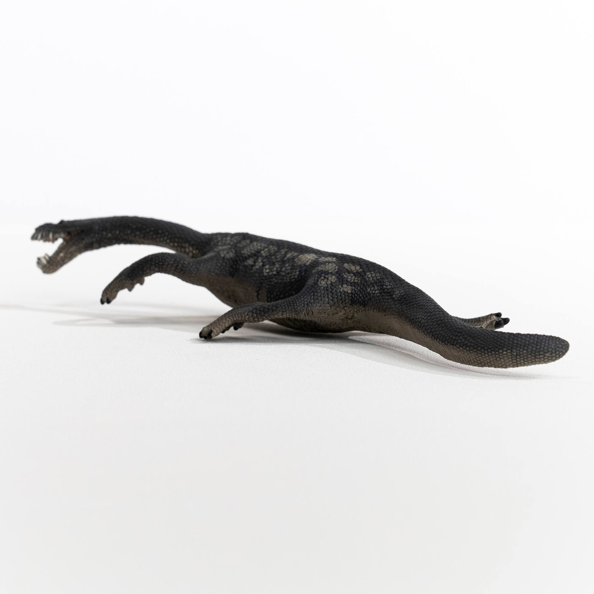 Angle. Schleich - Dinosaurs: Nothosaurus.