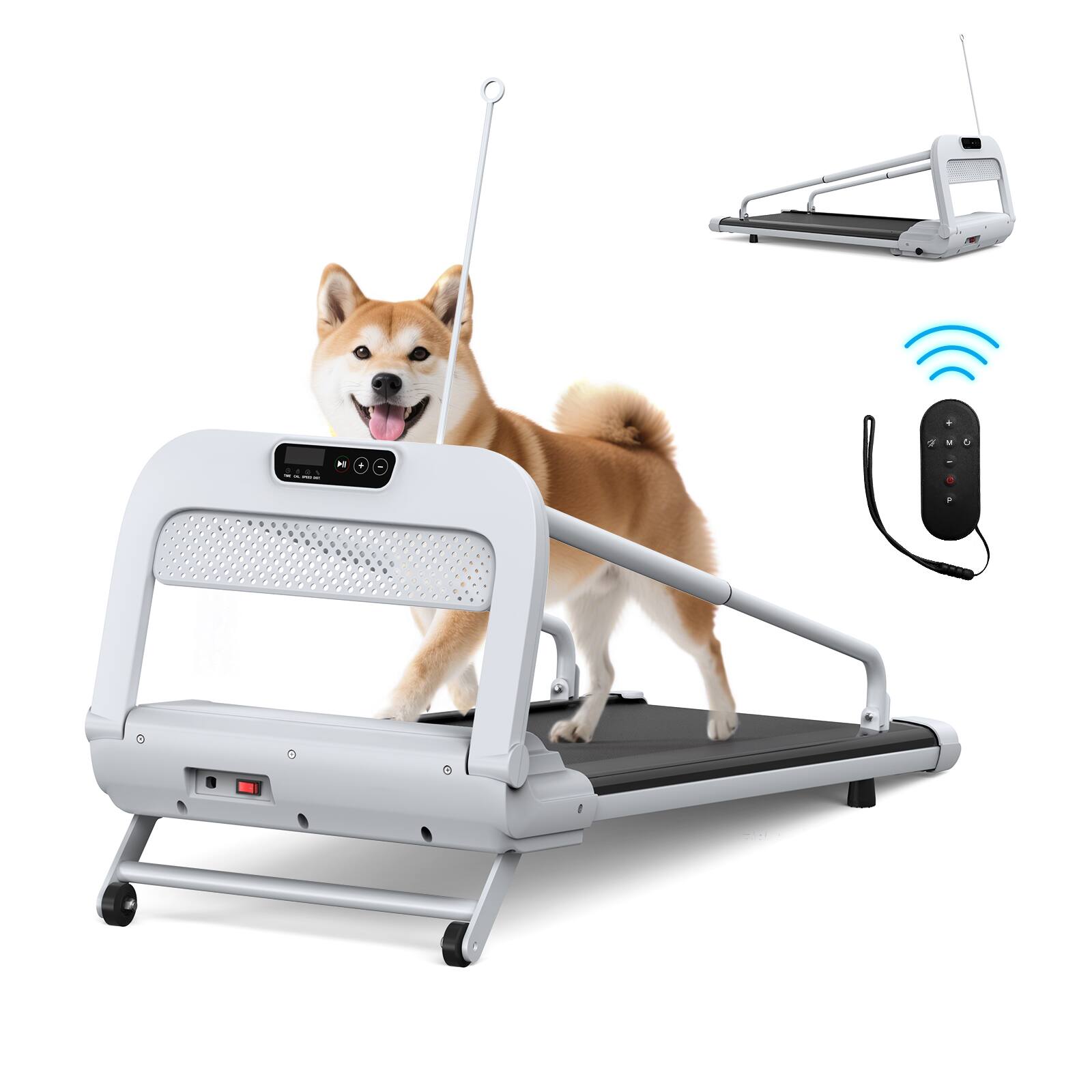 Tiramisubest - 2025 Adjustable Speed Quiet Smart Pet Treadmill for Small/Medium Dogs with Spacious Running Area - White