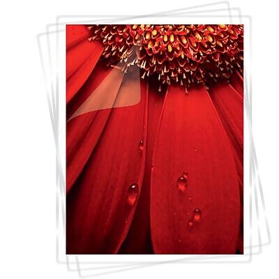 Alt View 1. Fellowes - Self Sealing Laminating Pouches, Photo, 5 Mil, 5/Pack (5220401).