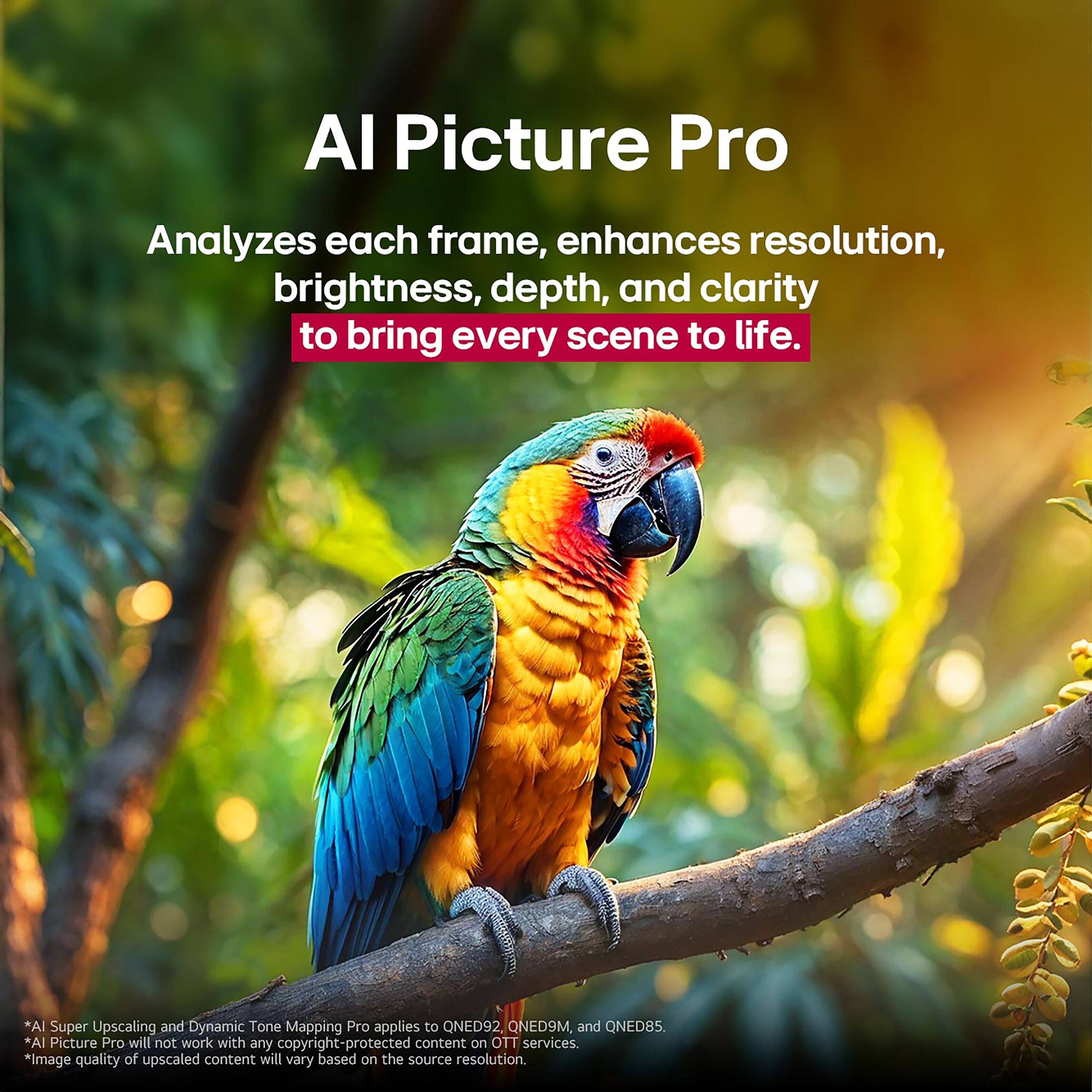 "Al Picture Pro analyzes each frame, enhances resolution, brightness, depth, and clarity to bring every scene to life. This feature is available for QNED92, QNED9M, and QNED85 displays. Please note that Al Picture Pro will not work with any copyright-protected content on OTT services. The image quality of upscaled content will vary based on the source resolution."