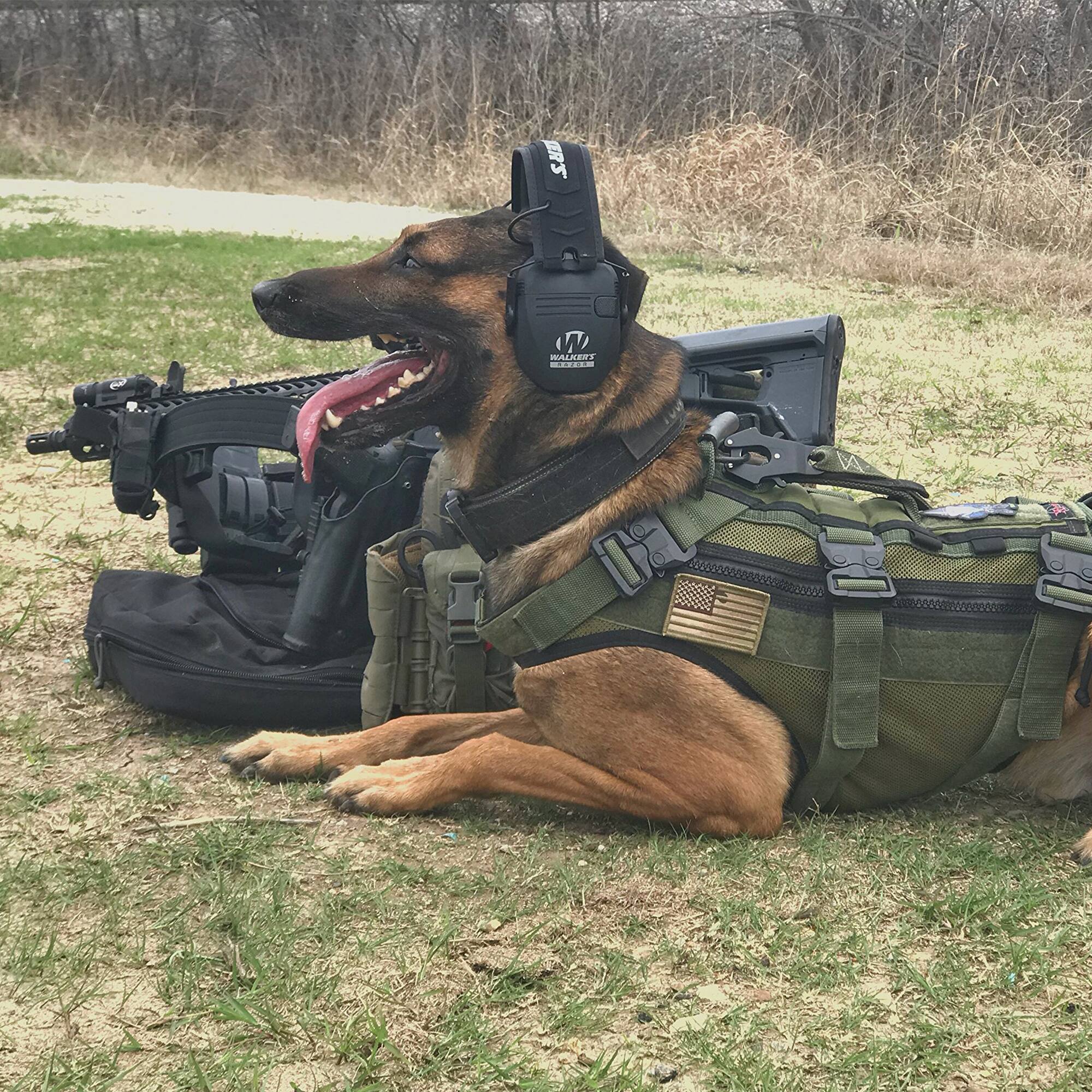 The text on the image reads:

"ER'S BALIERT 1a"