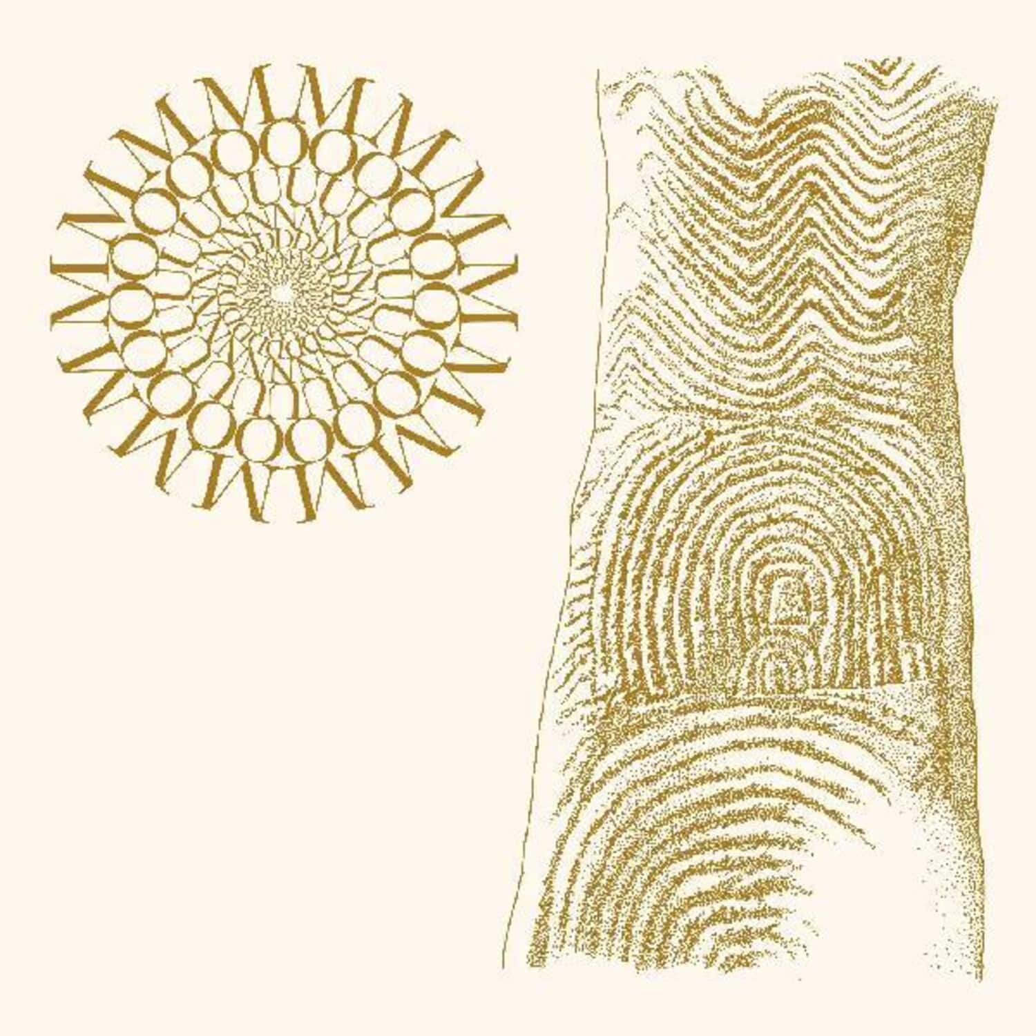 Moundabout - Flowers Rot Bring Me Stones   - VINYL LP price history on PriceWatchPro