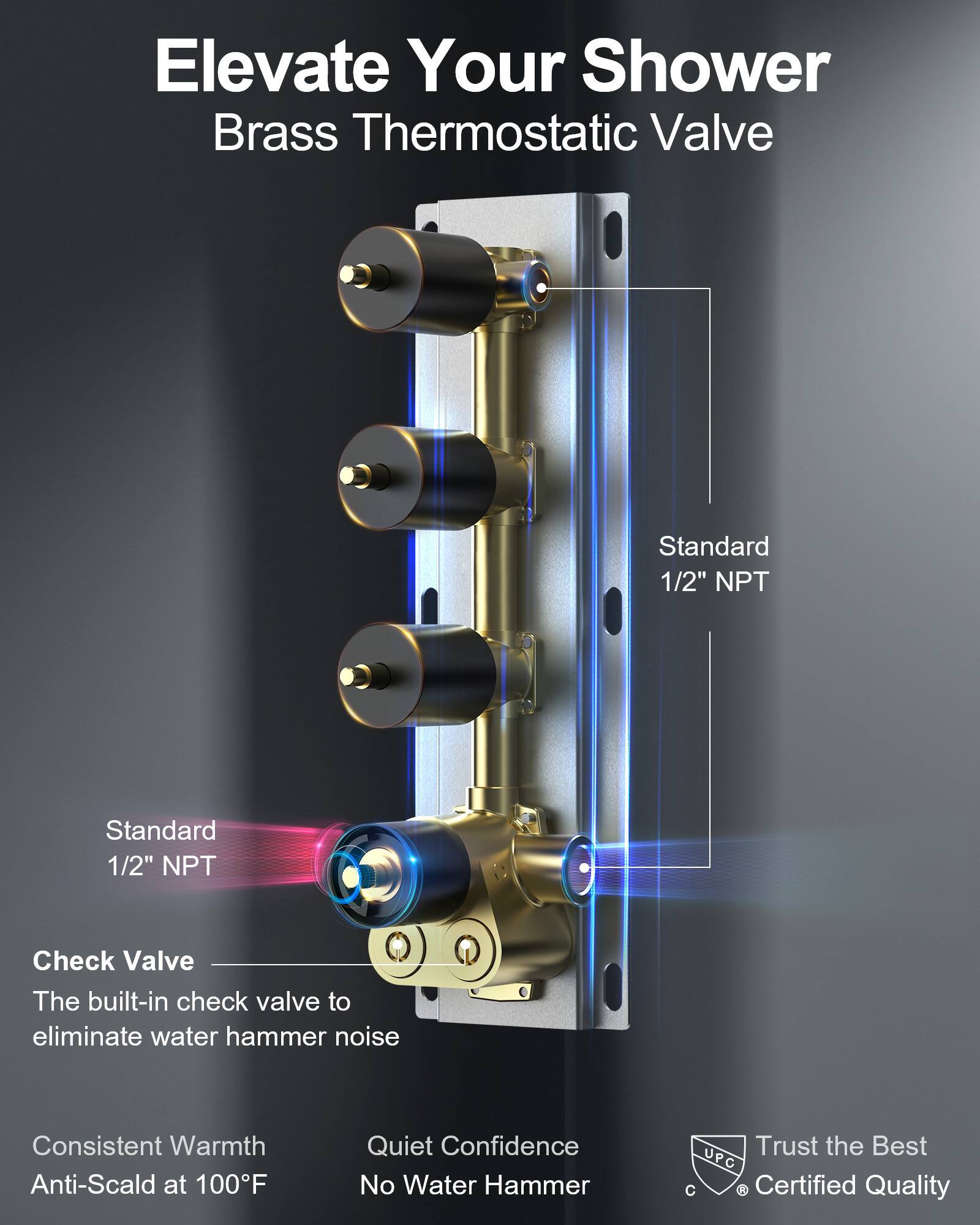 Elevate Your Shower  
Brass Thermostatic Valve  

Standard 1/2" NPT  
Standard 1/2" NPT  

Check Valve  
The built-in check valve to eliminate water hammer noise  

Consistent Warmth  
Anti-Scald at 100°F  

Quiet Confidence  
No Water Hammer  

Trust the Best  
UPC J Certified Quality