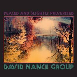 David Group Nance - PEACED & SLIGHTLY PULVERIZED - VINYL LP